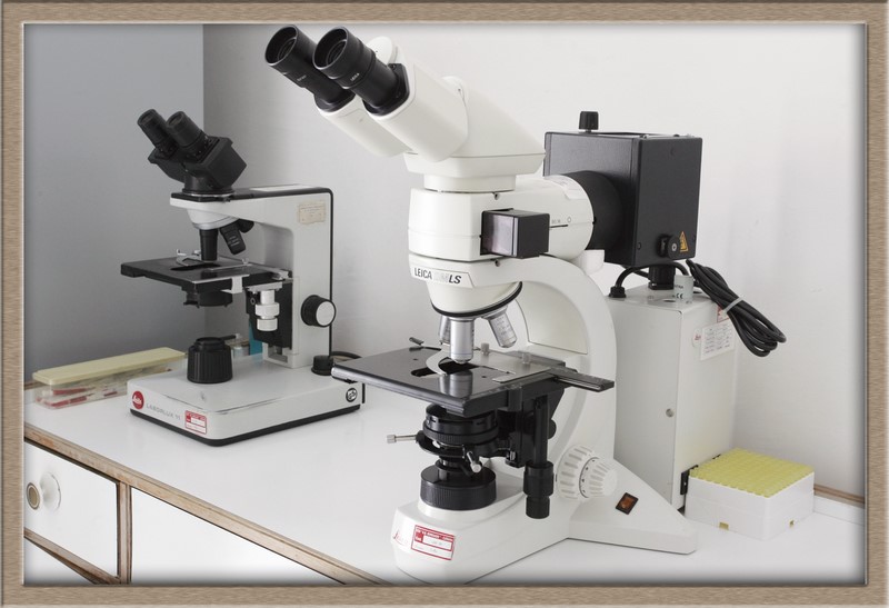 Laboratorio Analisi - Diagnostica microscopica di base